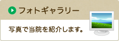 フォトギャラリー